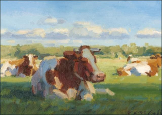 Cows, Hans Versfelt