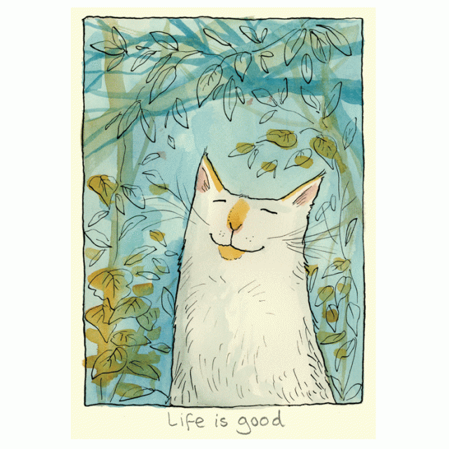 Life is Good Card by Anita Jeram