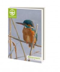 Kaartenmapje met env, groot: Wintervogels 4, Elwin van der Kolk, Natuurpunt