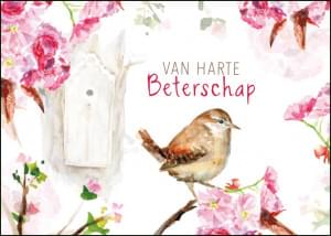 Van harte beterschap, Michelle Dujardin