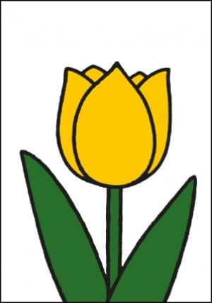 Nijntje - Miffy - Tulp geel (wit)/ST, Dick Bruna