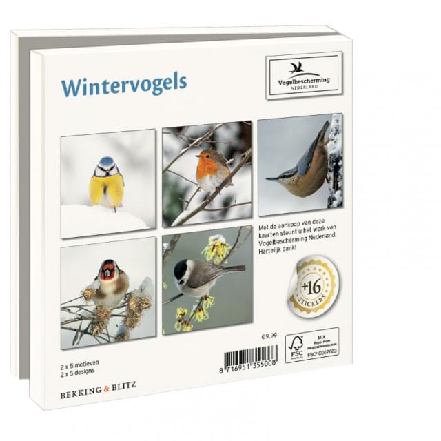 Kaartenmapje met env, vierkant: Wintervogels, Vogelbescherming