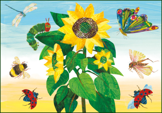 Nature, The very hungry caterpillar, Eric Carle