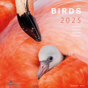 Birds maandkalender 2025, Vogelbescherming