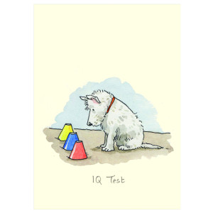 IQ Test Card by Anita Jeram