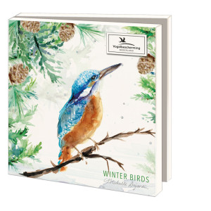 Kaartenmapje met env, vierkant: Winter Birds, Michelle Dujardin, Vogelbescherming