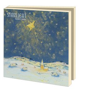 Kaartenmapje met env, vierkant: Starlight, David Cooke