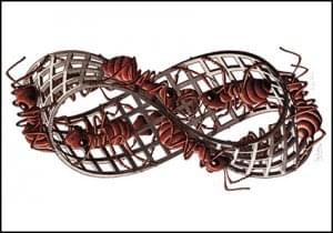 Möbius strip II (Red ants), M.C. Escher